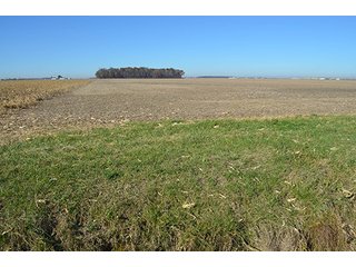 Tract 2 - FARMLAND AUCTION - 165.5+/- ACRES OFFERED IN 5 TRACTS OR COMBINATIONS IN EAST ALLEN COUNTY